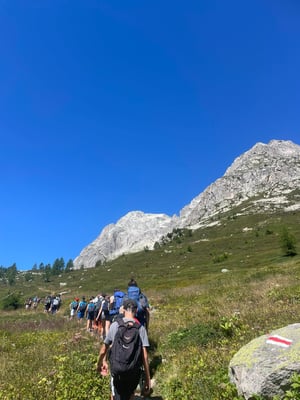 cfd8abf3-a34a-4aee-affd-b4f27fda7fec