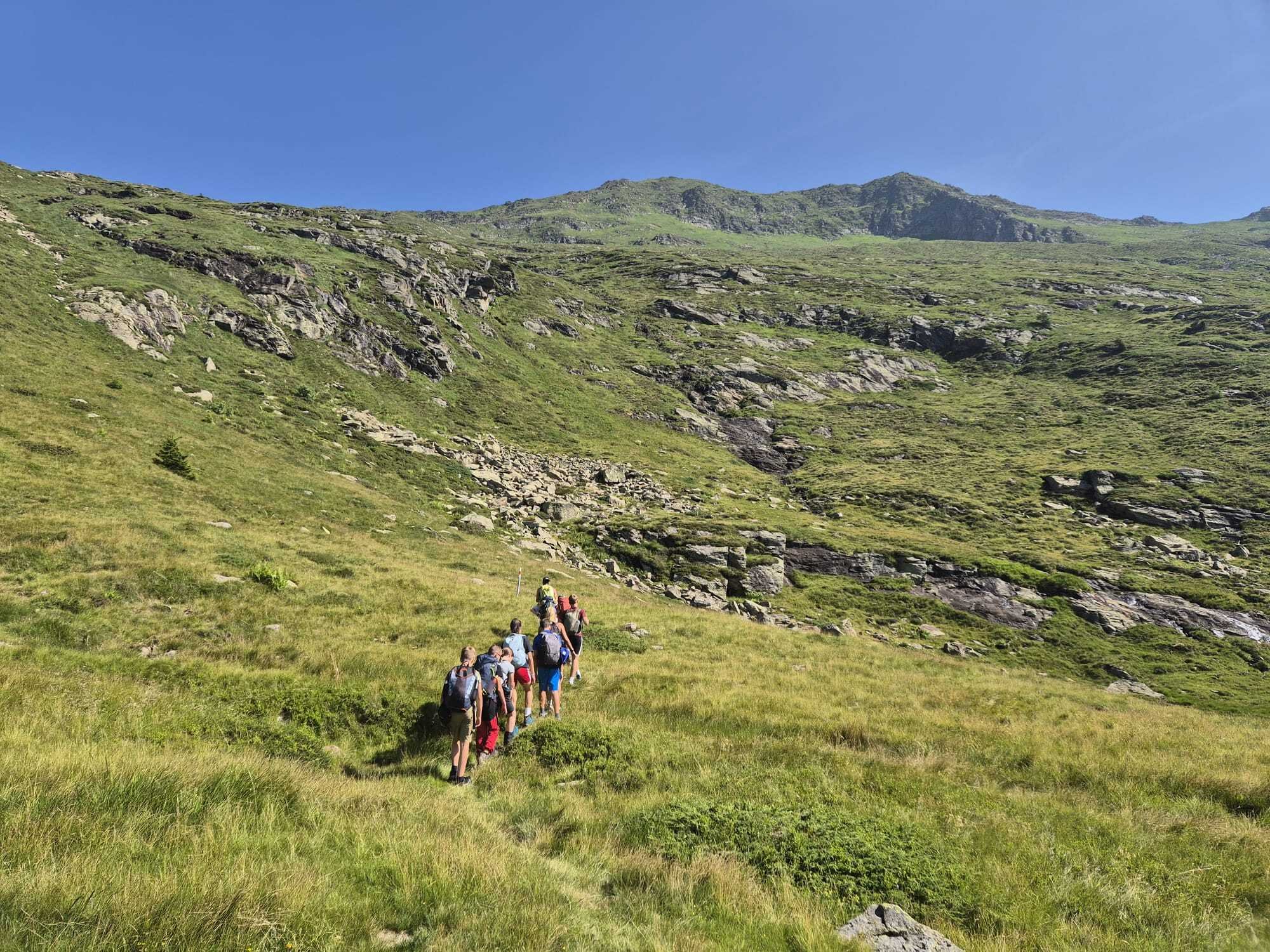 dc628453-346a-49fd-8bf4-f0f41d2ce9b8